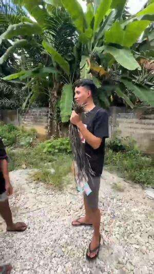 Iseng Iseng Berhadiah
 #fyp  #Viral 