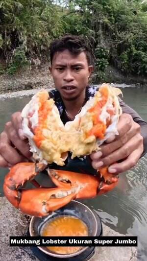 Mukbang Lobster Ukuran Super Jumbo #Mukbang  #Lobster 
