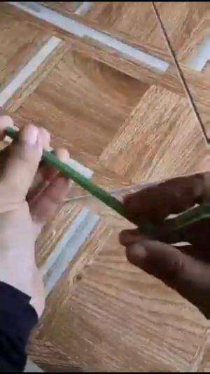 BUNGA DARI SEDOTAN

#tipsandtrik #tips #trik #tutorial #kreatif #hiburan #inspirasi #inspiratif 