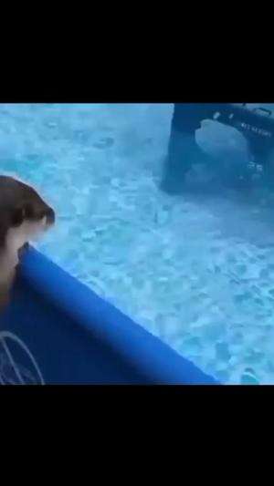 kompilasi video lucu #5