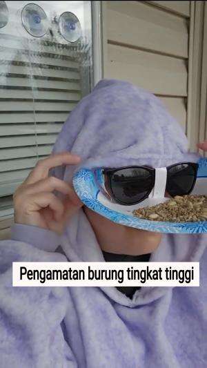 Pengamatan burung tingkat tinggi