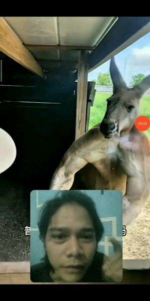 Waduhh😱Info Tempat GYM Nya Dong😬Hahaha😅 #fypシ゚viral #reaction #RCTIPlus #shortplus #semuaorang #funny 