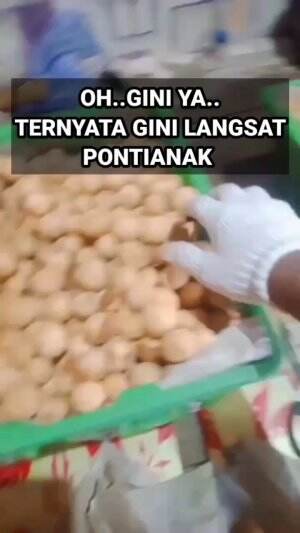 BUAH TERKENAL DI KALIMANTAN DAN MALAYSIA
 #langsatponti
 #lmhsatmanis
 #lanhsatpontianak

