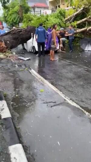 hati2 dijalan saat cuaca buruk
kejadian di Bali 

#pohontumbang
#Bencana Alam 
#Kecelakaan Mobil 