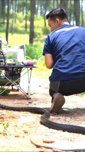 Latihan balik badan
#shorts #shortplus #short 