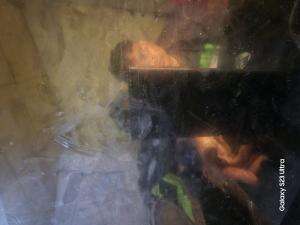 XFI2023 SOLO ANDRIAN RAMBE 24  JAKARTA COLDPLAY FIX YOU