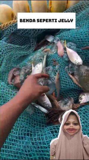 itu apa ya  #RCTIPlus #Viral #videolucu 