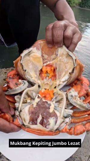 Mukbang Kepiting Jumbo Lezat #Mukbang #kepiting #Jumbo #lezat #RCTIPlus 