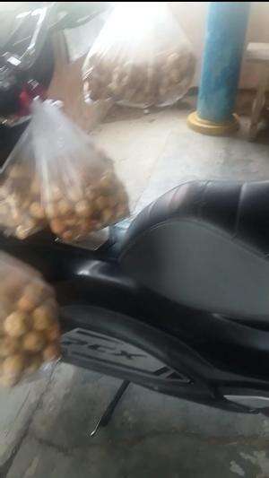 SIAP SIAP BERANGKAT JUALAN
 #motorberbuahlangsat
 #siapotw
 #rutinitastiaphari
