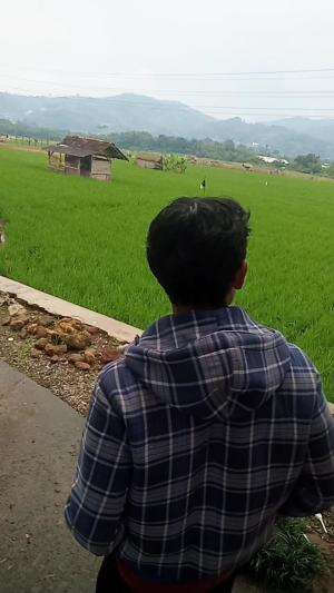  #memancing  #mancingbelut  #ngurekbelut #ngureukmania #spotngureuk #spotngurek #spotmancing #budidayabelut #budidaya 