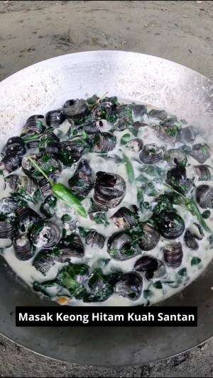 Masak Keong Hitam Kuah Santan #Masak #keong #kuah #masakannusantaradanwesternfood #kuliner #RCTIPlus 