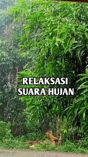 Relaksasi suara hujan #relaksasi 