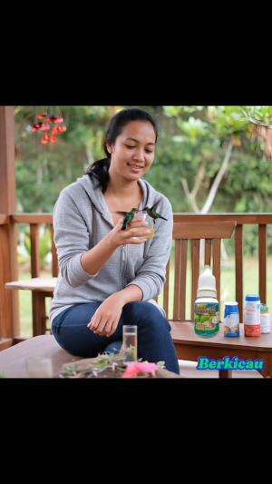 Berkicau. Hobi Burung. 
Flora Dan Fauna.
Hubungan Antara Tanaman Dan Hewan.
Interaksi Manusia, Alam, Tanaman Dan Hewan Peliharaan. 

#burung