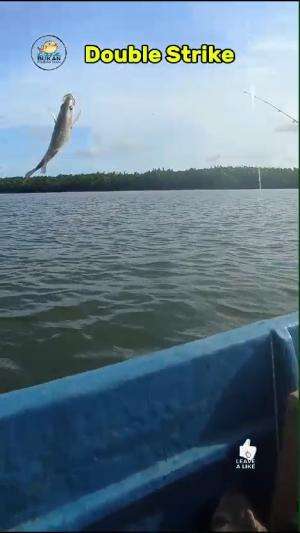 MANTAAP !! Double strike ikan tompelodon #mancingmaniamantap