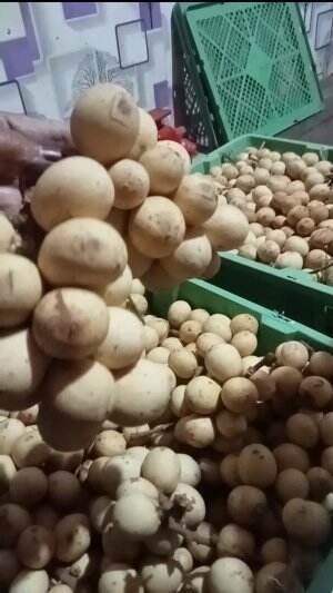 MANIS 
 #manismaniskecut
 #buahnyasegarya