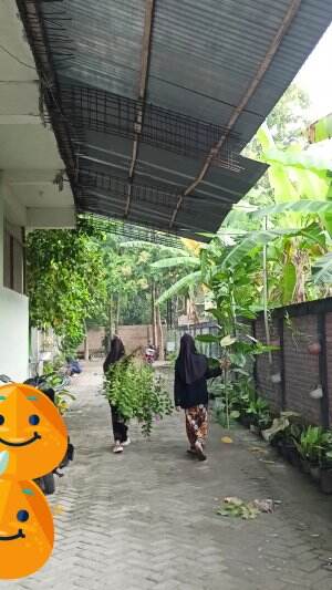 Buket bunga anti nyamuk  #RCTIPlus  #HOTrctiplus  #short 
