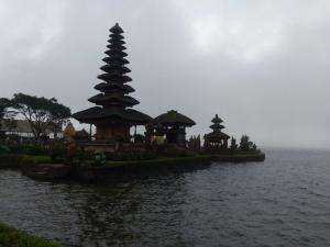 Jalan - Jalan Pagi 

#pagiyangcerah 
#semangatpagi 