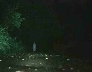 DI SAAT ADA YANG NYEGAT DIJALAN
 #RCTIPlus #penampakan  #adapenampakan 
