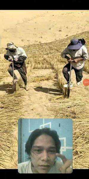 Wahh Lagi Tanam Apaan Tuh 😱🤔
 #shortplus #RCTIPlus #fypシ゚viral #reaction #funny #semuaorang 