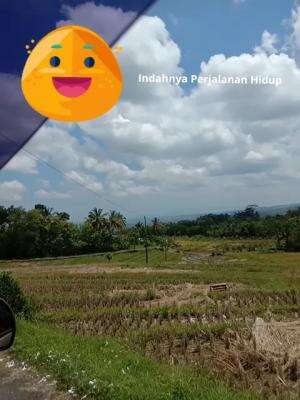 Alam Pegunungan