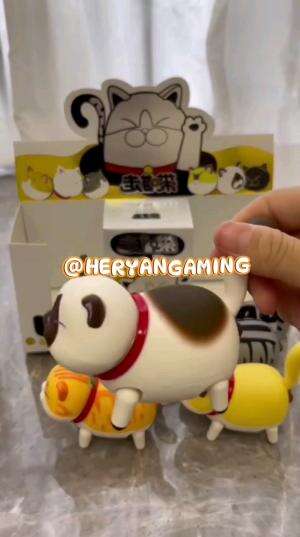 lucu banget anak kucingnya  #shortplus #kucing #kucinglucu #cutecat 