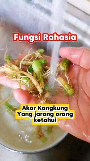 FUNGSI RAHASIA AKAR KANGKUNG

#tipsandtrik #tips #trik #tutorial #kreatif #hiburan #inspirasi #inspiratif 