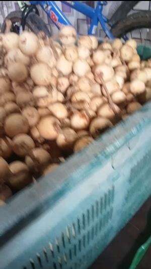 LANGSAT LAGI YA GAEESS 
 #edisiharirabu
 #jualanlagi 