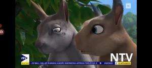 Cuplikan GON Indonesia di NTV (7 September 2024)