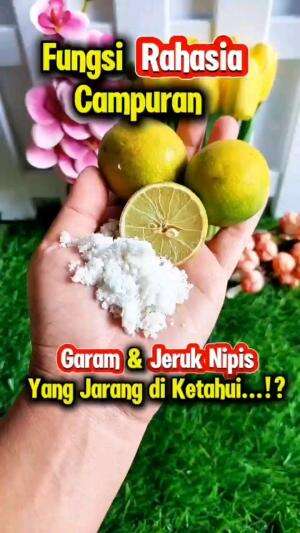 FUNGSI RAHASIA CAMPURAN GARAM & JERUK NIPIS, JARANG ORANG KETAHUI

#tipsandtrik #tips #trik #tutorial #kreatif #hiburan #inspirasi #inspirat