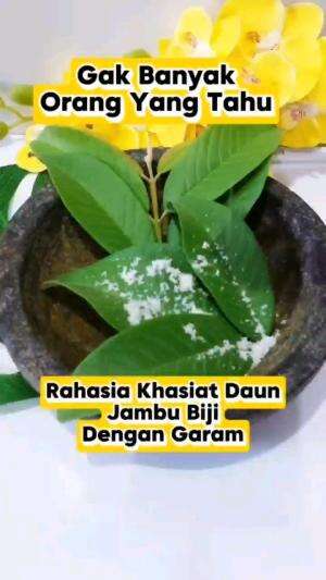 FUNGSI RAHASIA DAUN JAMBU BIJI & GARAM

#tipsandtrik #tips #trik #tutorial #kreatif #hiburan #inspirasi #inspiratif 