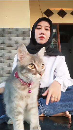  #fyp #foryou #lifestyle #story #trending #minivlog #cat #biglove 