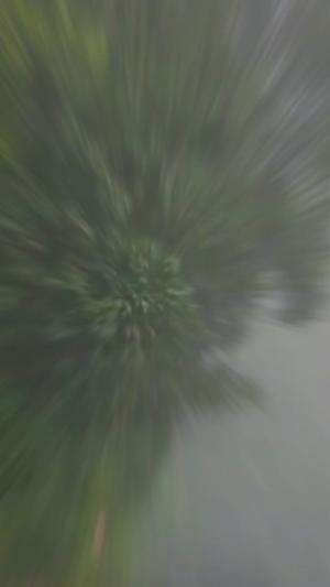 Hidup Seperti Roller Coaster - Ceramah Ustadz Irfan Rizki Haas #irfanrizkihaas #ustadzirfanrizkihaas #syukur #bersyukur #ceramah #ceramahpen