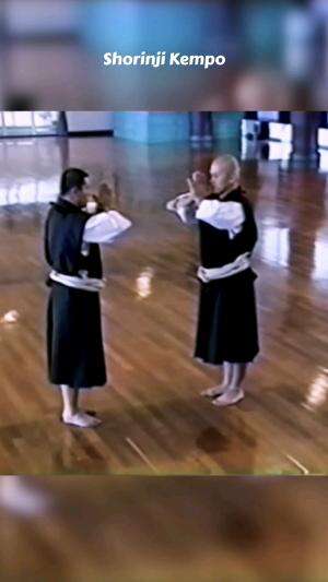 Shorinji Kempo Demonstration #shorinjikempo #martialart #selfdefense #Sport #beladiri 
