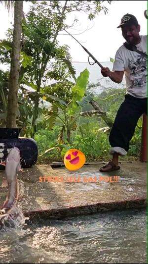 MENDEM STRIKE LELE #MANCINGMANIA  #mancing 