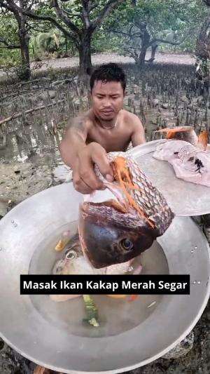 Masak Ikan Kakap Merah Segar #Masak #ikankakap #kakapmerah #masihsegar #kuliner #RCTIPlus 