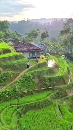 Pagi Yang Indah Di Desaku #JayalahIndonesia 