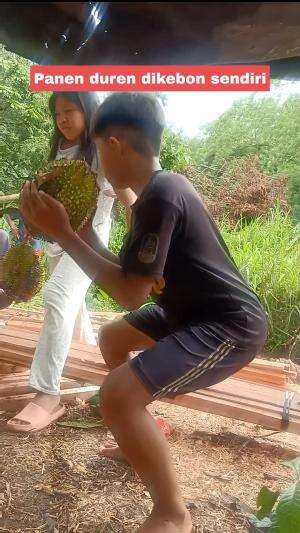 panen buah duren 


 #videoviral
#fyp
#trendingtopik
#semuaorang
#jangkauanluas
#bocillucu
#fypシ゚viral 