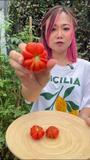 #Berkebun #fyp #fypシ゚viral #trending #foryou #RCTIPlus #HOTrctiplus 