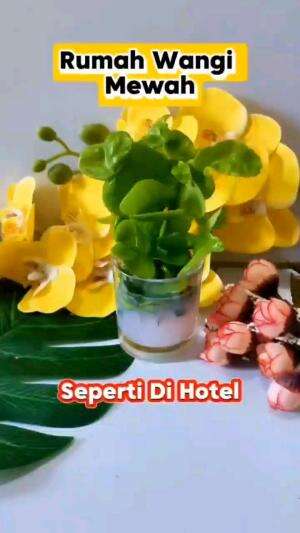 RUMAH WANGI MEWAH SEPERTI DI HOTEL

#tipsandtrik #tips #trik #tutorial #kreatif #hiburan #inspirasi #inspiratif 