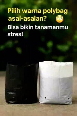 #edukasi #fyp #fypシ゚viral #trending #foryou #RCTIPlus #HOTrctiplus 