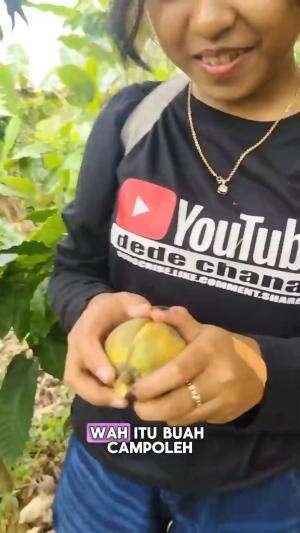 Nemu Buah Campoleh! Tapi Masih Mentah Nih 😅🍇