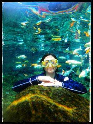Freedive Umbul Ponggok  Klaten 

 #Umbulponggok
 #seniindonesia  #wonderfulindonesia
 #Ada yang baru di Ponggok, Klaten.
