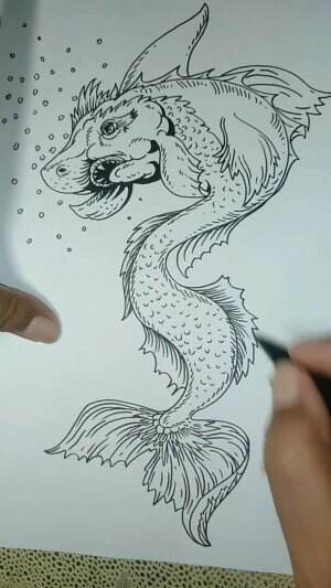 Yuk Belajar Menggambar Ikan Gabus Laut Guys 