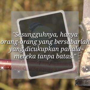 SESUNGGUHNYA ORANG YANG BERSABARLAH YANG DICUKUPKAN PAHALA TANPA BATAS#motivasiislam #nasihat #islam #motivasi #nasihatkehidupan #quotesisla