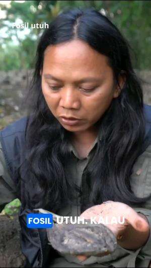 Fosil utuh #dedeinoen #fosil dari jaman dinosaurus 