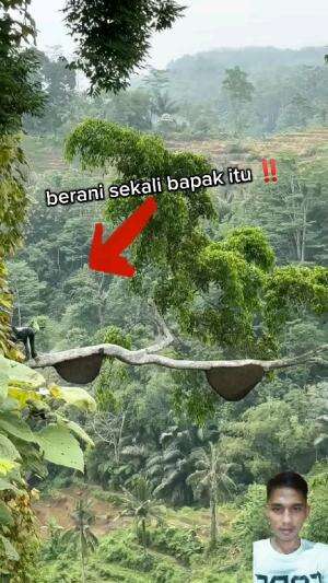 
🧭 Petualangan di alam liar!
Inilah momen langka saat para pencari madu tradisional memanjat pohon tinggi untuk mengambil madu hutan murni l
