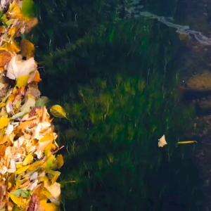 DOA NABI UNTUK UMATNYA ADALAH MEMBERIKAN SYAFAAT DI HARI KIAMAT !!!!
 #Nasehat #islam #motivasi #motivasiislam #videomotivasi 