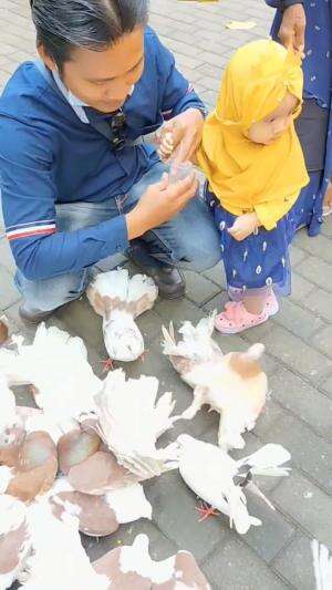 Balita melihat burung Antara senang dan panik🤭 
 #wisata  #virall  #viralvideo  #fypシ゚viral  #fypシ #HOTrctiplus 