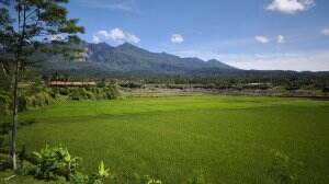 proses ngonten