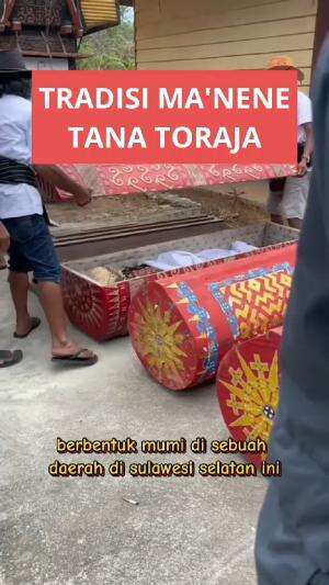 sebuah tradisi ritual bernama ma'nene Tana Toraja #tradisi #budaya #tanatoraja #ma'nene #edukasi 